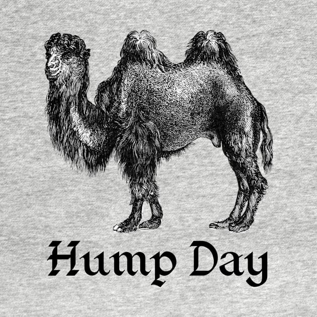 Hump Day by Craftee Designs